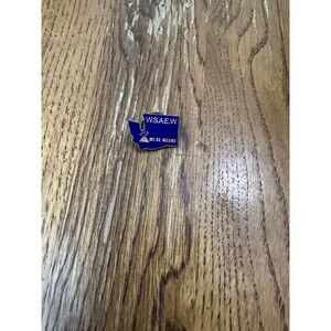 VINTAGE LOCAL UNION MADE LAPEL PIN UNION W.S.A.E.W. MT. ST HELENS HTF RARE
